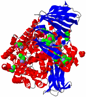 Image Asym./Biol. Unit