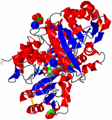 Image Asym./Biol. Unit