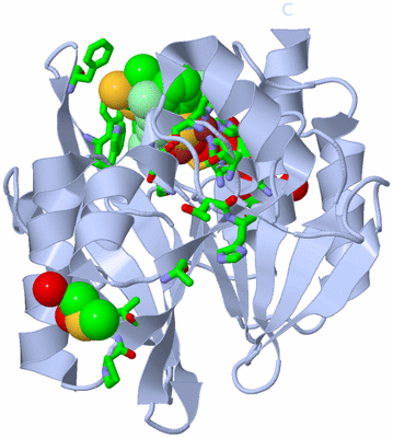 Image Biol. Unit 1 - sites