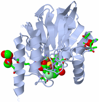 Image Biol. Unit 1 - sites