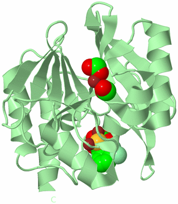 Image Biological Unit 2