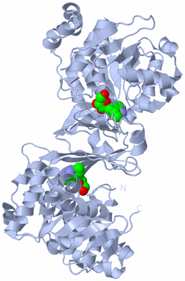 Image Biological Unit 1