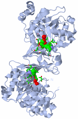 Image Biol. Unit 1 - sites