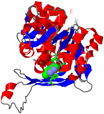 Image Asym. Unit - sites