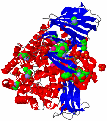 Image Asym./Biol. Unit