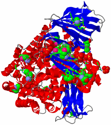 Image Asym./Biol. Unit - sites