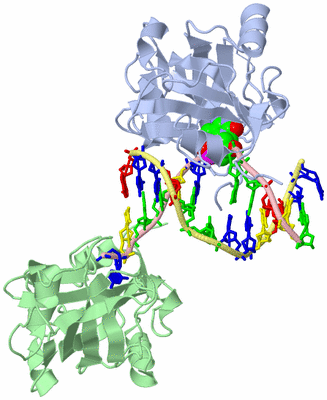 Image Biological Unit 1