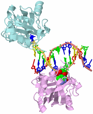 Image Biological Unit 2