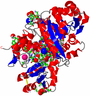 Image Asym./Biol. Unit - sites