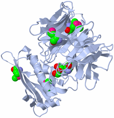 Image Biological Unit 1