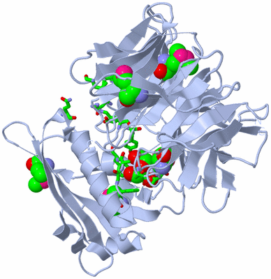 Image Biol. Unit 1 - sites