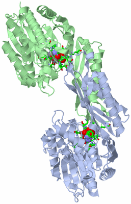 Image Asym./Biol. Unit - sites