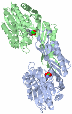 Image Asym./Biol. Unit