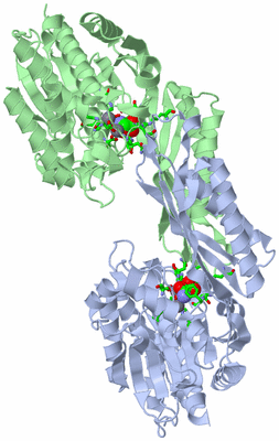 Image Asym./Biol. Unit - sites