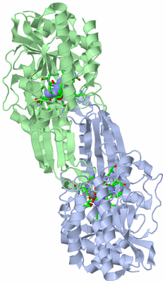 Image Asym./Biol. Unit - sites