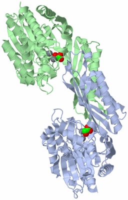 Image Asym./Biol. Unit