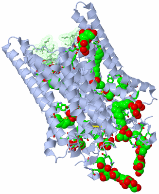 Image Biol. Unit 1 - sites