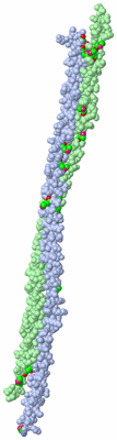 Image Asymmetric Unit