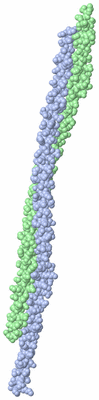 Image Asymmetric Unit