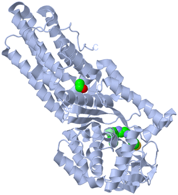 Image Biological Unit 1