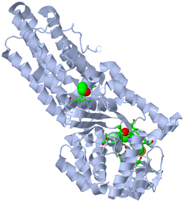 Image Biol. Unit 1 - sites