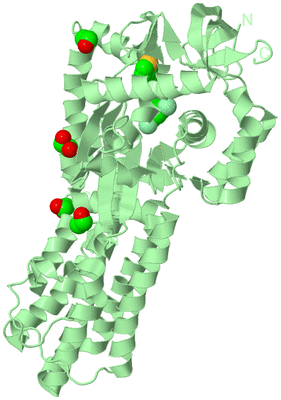 Image Biological Unit 2