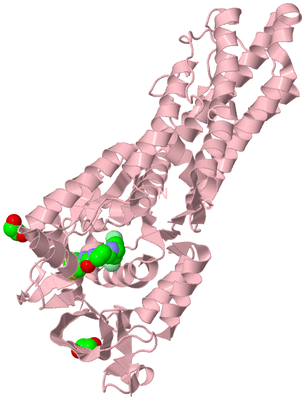 Image Biological Unit 3