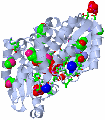 Image Biol. Unit 1 - sites