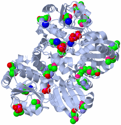 Image Biological Unit 2