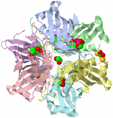 Image Asym./Biol. Unit