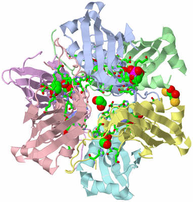 Image Asym./Biol. Unit - sites