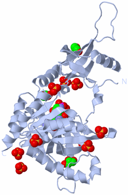 Image Biological Unit 1