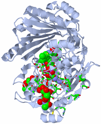 Image Biol. Unit 1 - sites