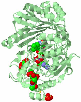 Image Biological Unit 2