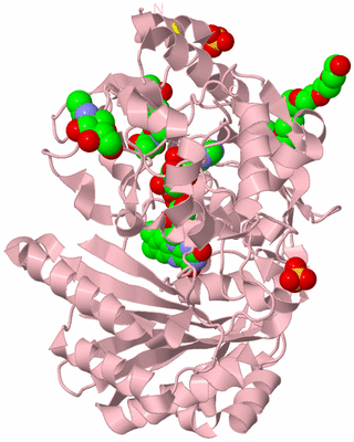 Image Biological Unit 3