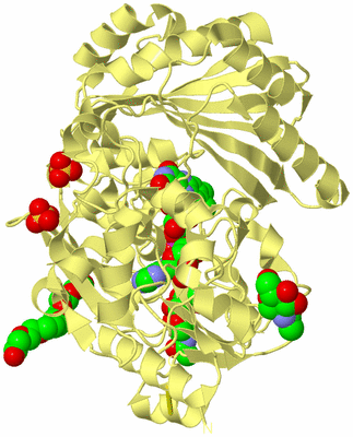 Image Biological Unit 4