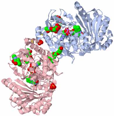 Image Biological Unit 5