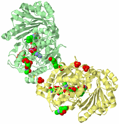 Image Biological Unit 6