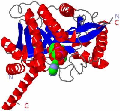 Image Asym./Biol. Unit