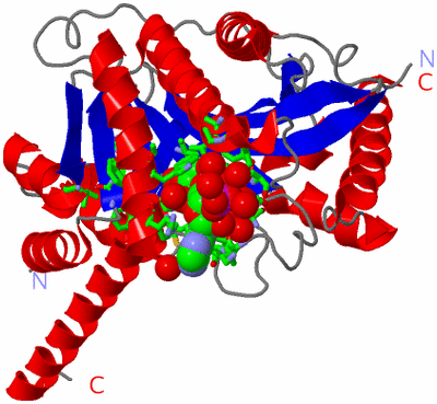 Image Asym./Biol. Unit - sites