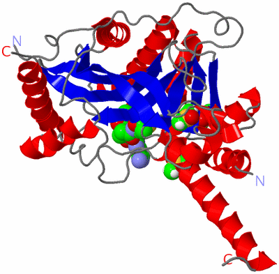 Image Asym./Biol. Unit