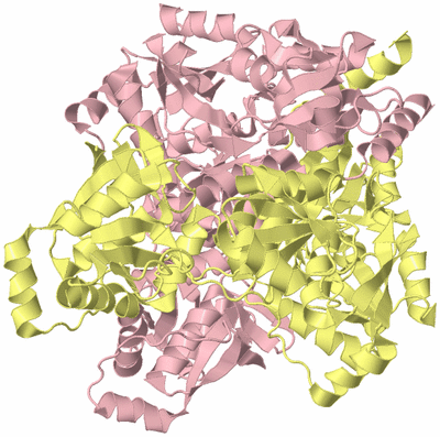 Image Biological Unit 2