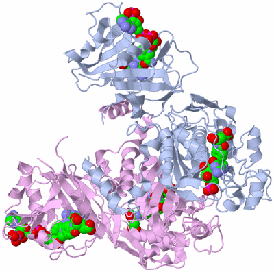 Image Biological Unit 1