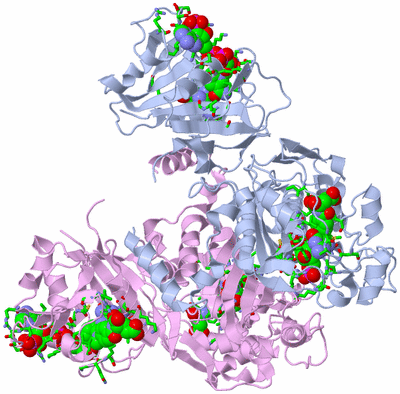 Image Biol. Unit 1 - sites