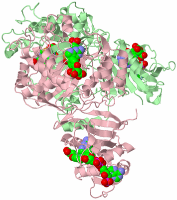 Image Biological Unit 2