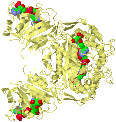 Image Biological Unit 3