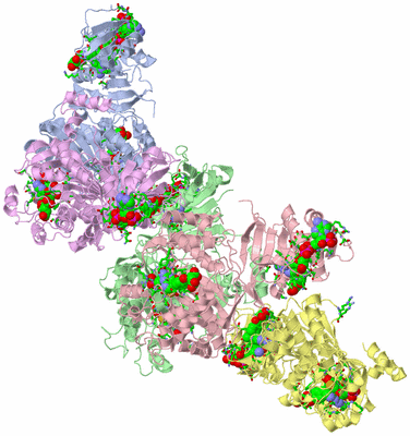 Image Asym. Unit - sites