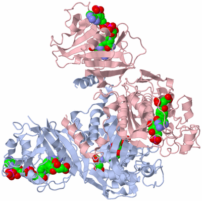 Image Biological Unit 1