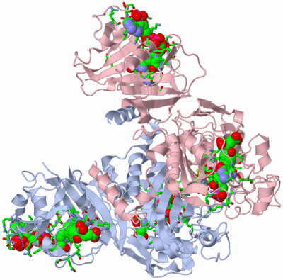 Image Biol. Unit 1 - sites