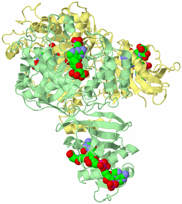 Image Biological Unit 2